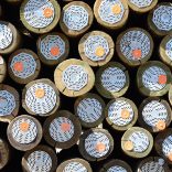 150/175 CCA Treated Poles