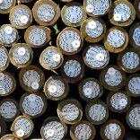 125/150 CCA Treated Poles